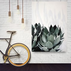 agave situ49